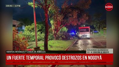 Destrozos en un club y &aacute;rboles ca&iacute;dos fue el saldo de fuerte temporal en Nogoy&aacute;